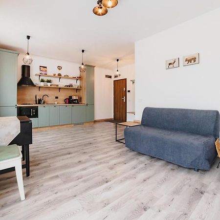 Schiller Studio 64 - Free Private Parking Brasov Bagian luar foto