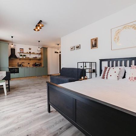Schiller Studio 64 - Free Private Parking Brasov Bagian luar foto