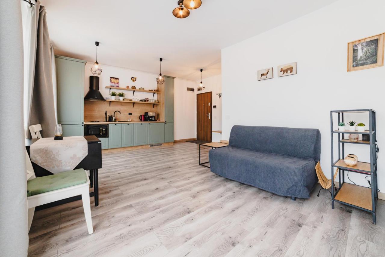 Schiller Studio 64 - Free Private Parking Brasov Bagian luar foto