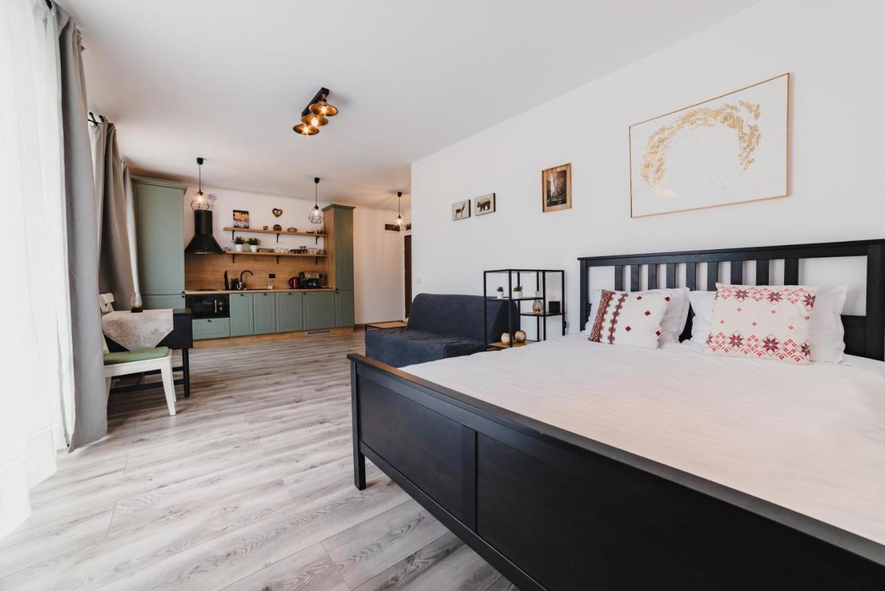 Schiller Studio 64 - Free Private Parking Brasov Bagian luar foto