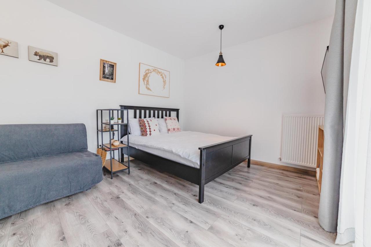 Schiller Studio 64 - Free Private Parking Brasov Bagian luar foto