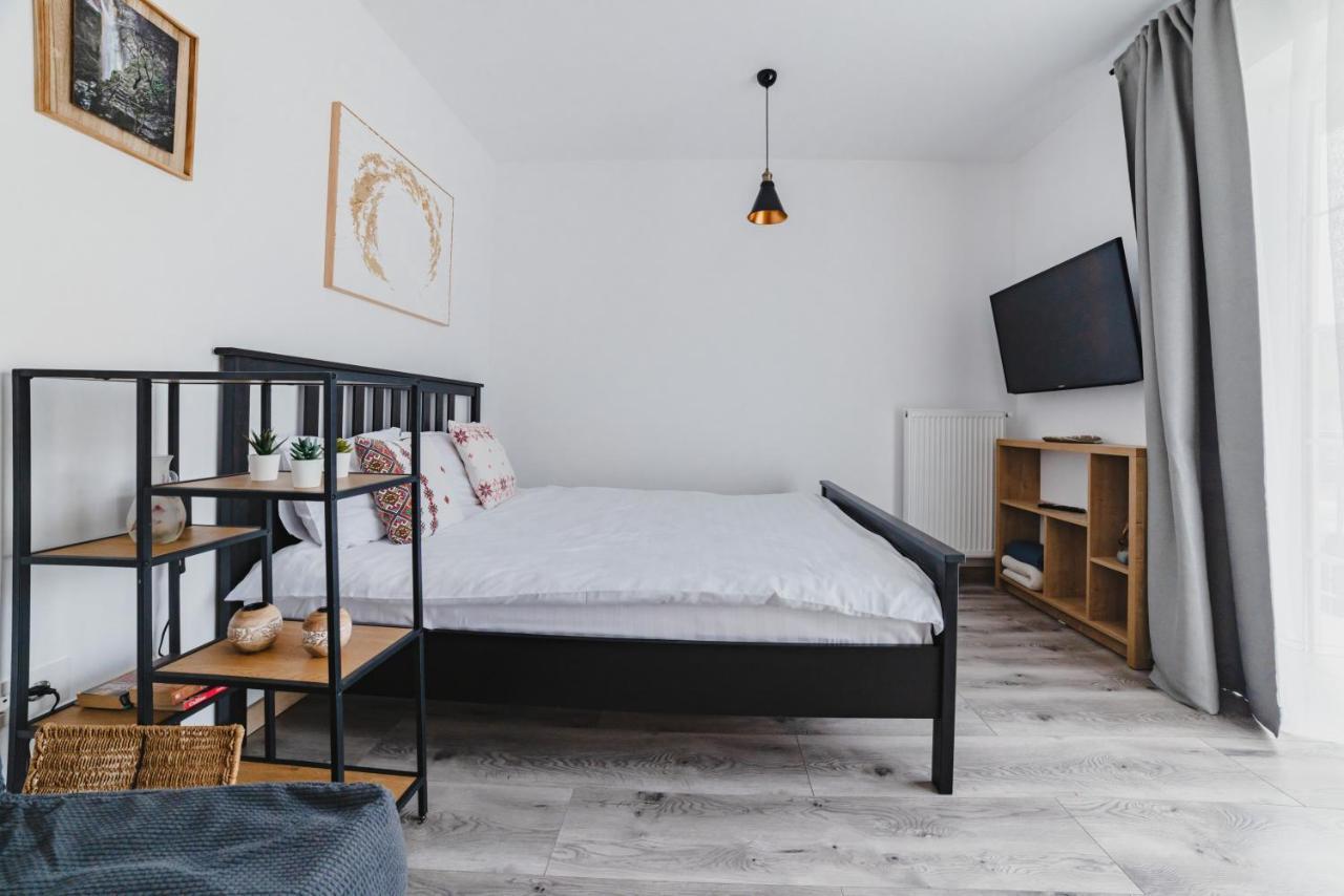 Schiller Studio 64 - Free Private Parking Brasov Bagian luar foto