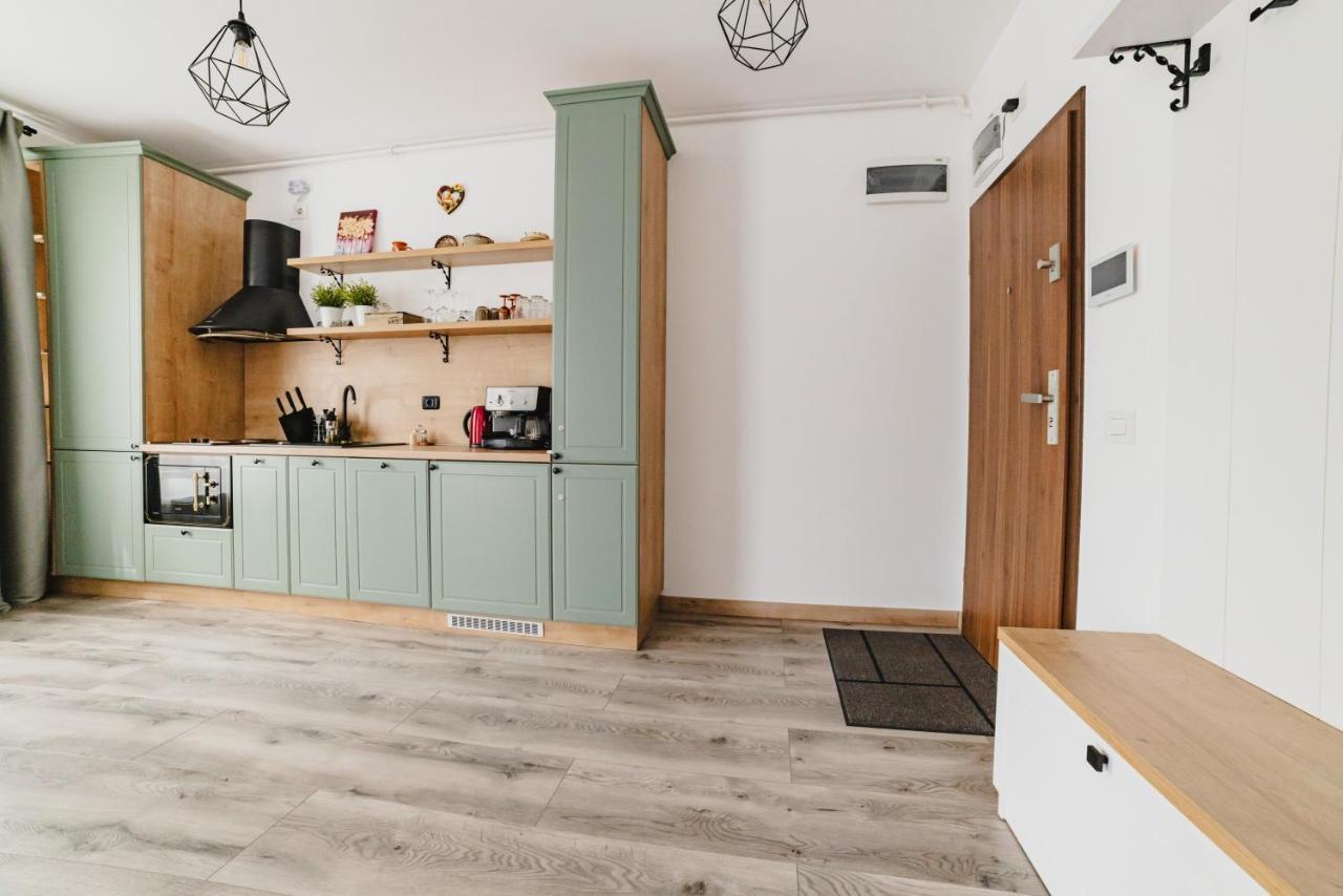 Schiller Studio 64 - Free Private Parking Brasov Bagian luar foto